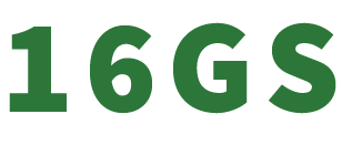 16P GENETIC SYNDROME FOUNDATION logo